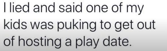 I lied and said one of my kids was puking to get out of hosting a play date.