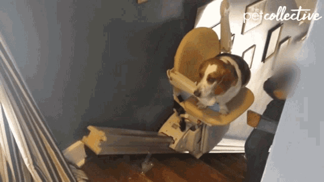 On My Way Upstairs GIF - OnMyWay Upstairs Coming GIFs