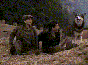 Best Natty Gann GIFs | Gfycat
