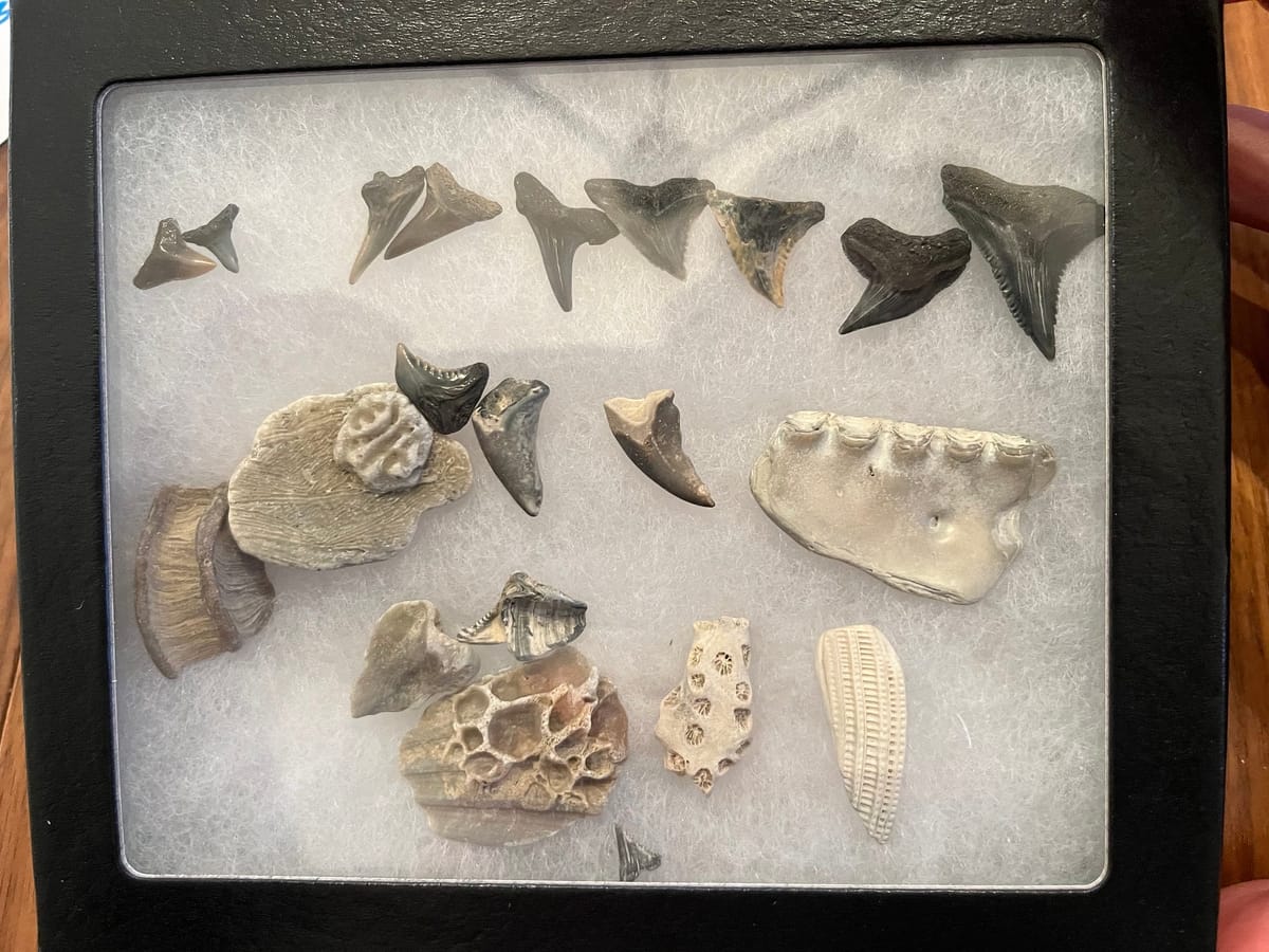 One brief guide to dragging kids through Washington D.C.