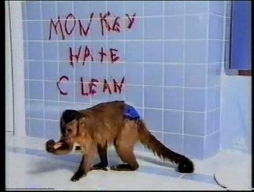 Paid subscriber issue: I'm not a regular mom, I'm a chimp mom