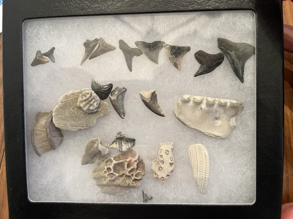 One brief guide to dragging kids through Washington D.C.