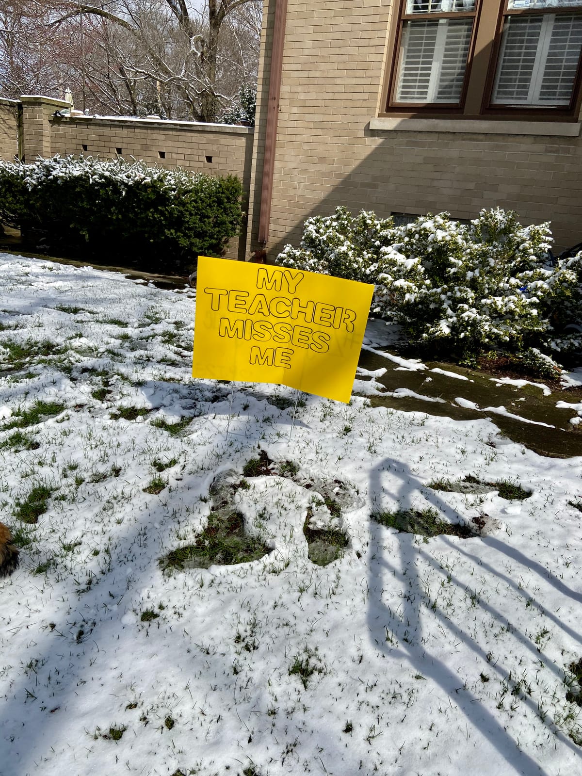 Emotionally attuned angel vs. carefree self-involved turd