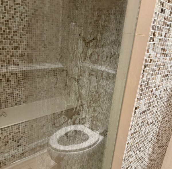 Paid subscriber post: "You're the fucking baby here"