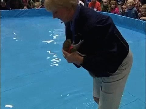 THERE IS A SQUIRREL IN MY HOUSE RIGHT NOW WHAT THE FUCK DO I DO?!?!?