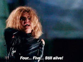 Finally, a witches' survey! For real this time