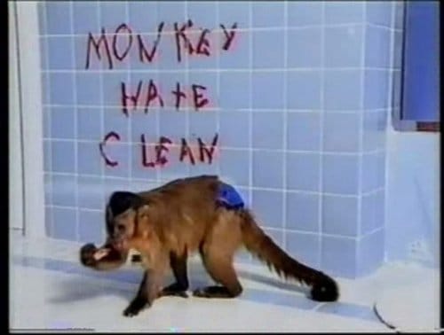 Paid subscriber issue: I'm not a regular mom, I'm a chimp mom