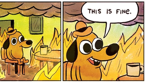 You deserve to feel fine about your pelvic floor