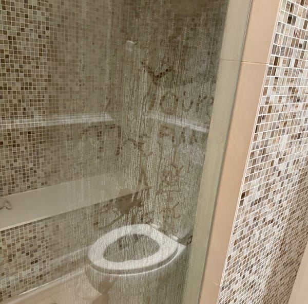 Paid subscriber post: "You're the fucking baby here"