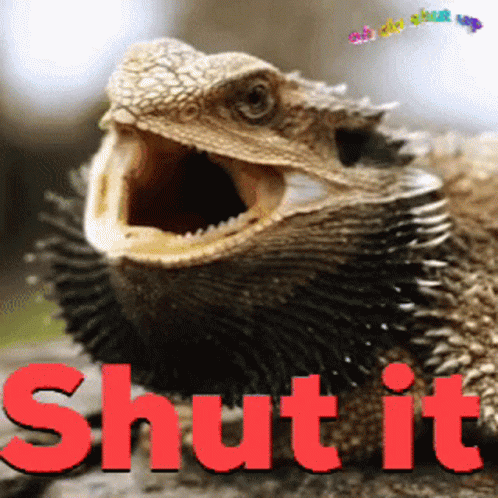 Shut Shhh GIF - Shut Shhh Quiet GIFs